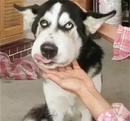 微信图片_20180806114114.jpg 微信图片_20180806114114.jpg