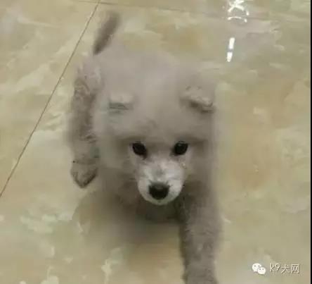 微信图片_20180815093852.jpg 微信图片_20180815093852.jpg