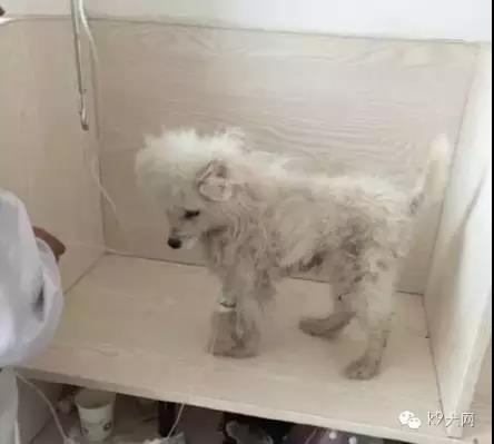 微信图片_20180815093856.jpg 微信图片_20180815093856.jpg
