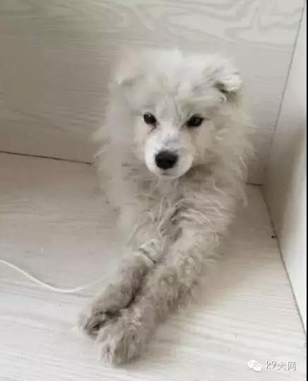 微信图片_20180815093859.jpg 微信图片_20180815093859.jpg
