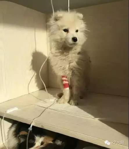 微信图片_20180815093902.jpg 微信图片_20180815093902.jpg