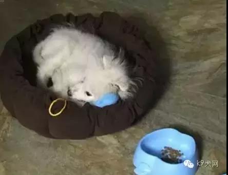 微信图片_20180815093911.jpg 微信图片_20180815093911.jpg