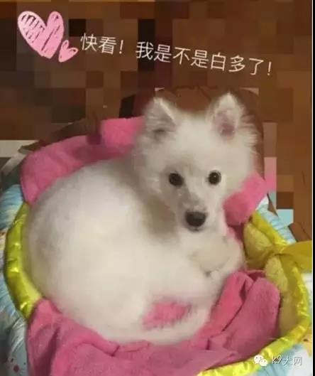 微信图片_20180815093914.jpg 微信图片_20180815093914.jpg