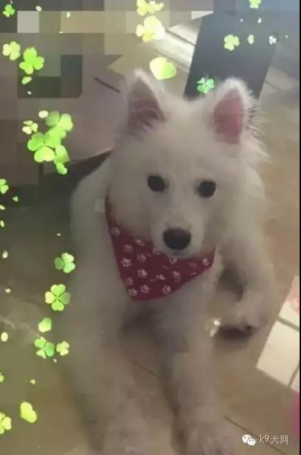 微信图片_20180815093917.jpg 微信图片_20180815093917.jpg