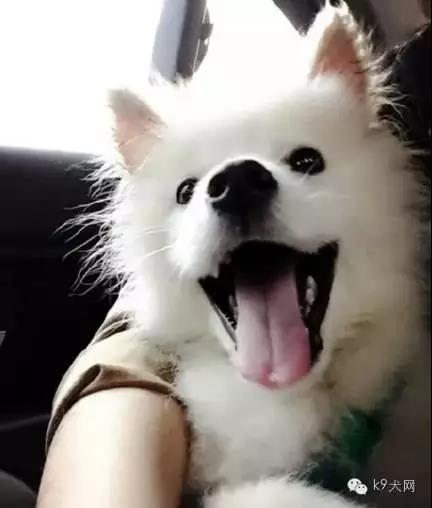 微信图片_20180815093921.jpg 微信图片_20180815093921.jpg