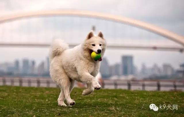 微信图片_20181217090028.jpg 微信图片_20181217090028.jpg