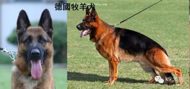 微信图片_20181219090427.jpg 微信图片_20181219090427.jpg