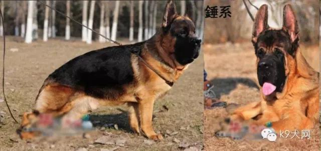 微信图片_20181219090430.jpg 微信图片_20181219090430.jpg