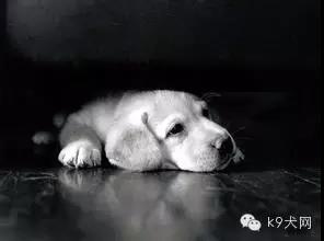 微信图片_20181224081937.jpg 微信图片_20181224081937.jpg