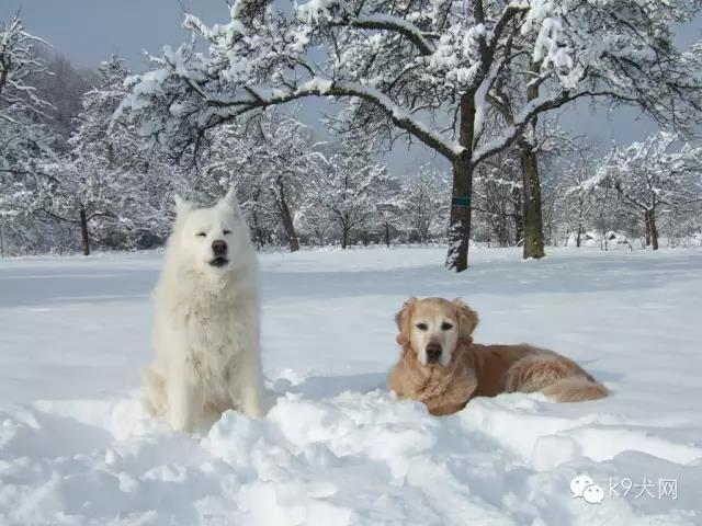 微信图片_20181225082733.jpg 微信图片_20181225082733.jpg