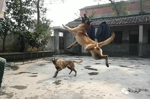 微信图片_20181231083606.jpg