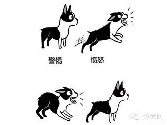 微信图片_20181231084047.jpg 微信图片_20181231084047.jpg