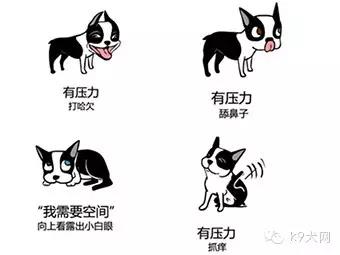微信图片_20181231084050.jpg 微信图片_20181231084050.jpg