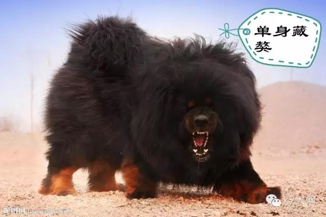 微信图片_20190101082951.jpg 微信图片_20190101082951.jpg