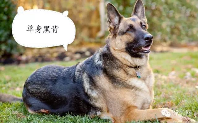 微信图片_20190101083002.jpg 微信图片_20190101083002.jpg