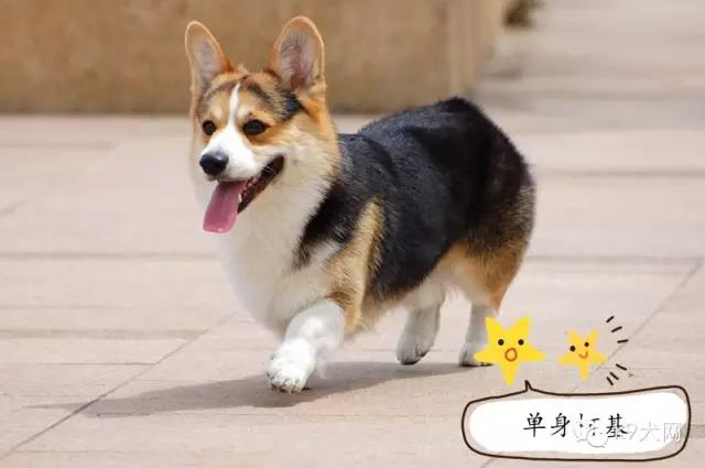 微信图片_20190101083005.jpg 微信图片_20190101083005.jpg