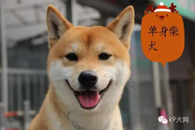 微信图片_20190101083012.jpg 微信图片_20190101083012.jpg
