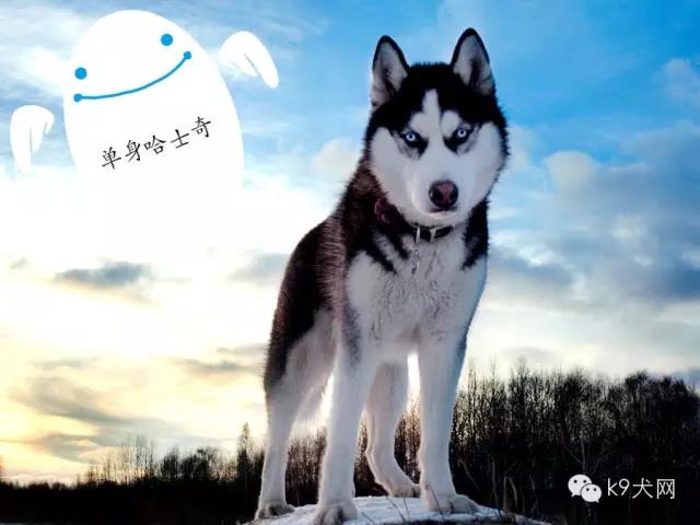 微信图片_20190101083016.jpg 微信图片_20190101083016.jpg