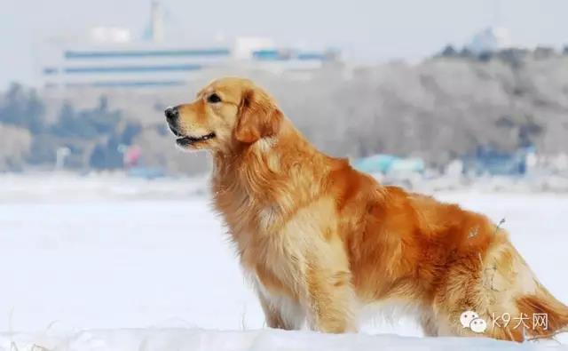 微信图片_20190102083554.jpg 微信图片_20190102083554.jpg
