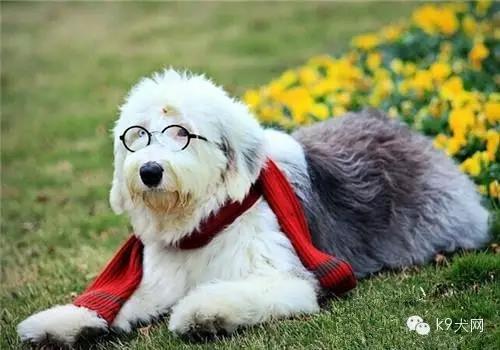 微信图片_20190102083600.jpg 微信图片_20190102083600.jpg
