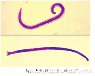 微信图片_20190103081007.jpg