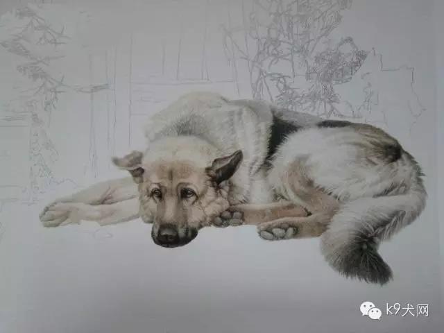 微信图片_20190109081053.jpg 微信图片_20190109081053.jpg