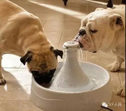 微信图片_20190111085008.jpg 微信图片_20190111085008.jpg