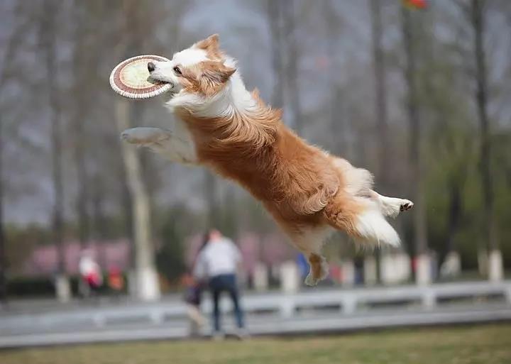 微信图片_20190226082812.jpg 微信图片_20190226082812.jpg